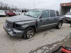 2010 Dodge Dakota Sxt იყიდება Fort Wayne-ში, IN - Rollover