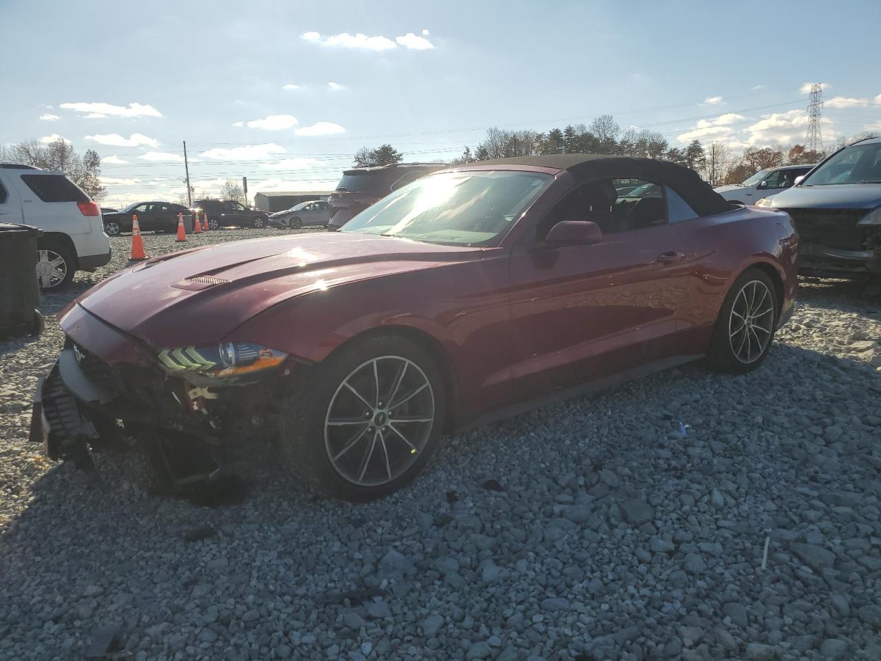 2019 Ford Mustang - Image 1