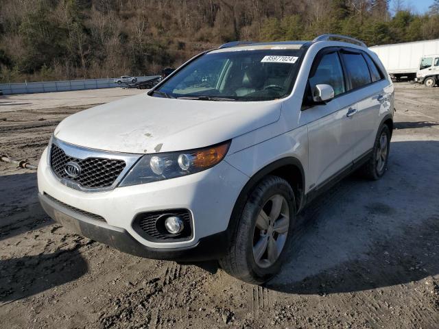  KIA SORENTO 2013 Белы