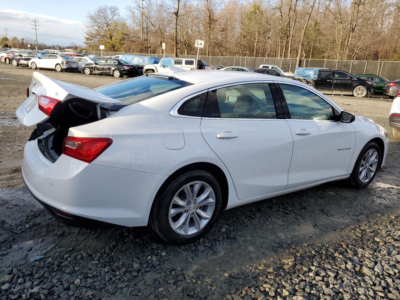 VIN 1G1ZD5ST8RF231733 2024 CHEVROLET MALIBU no.3