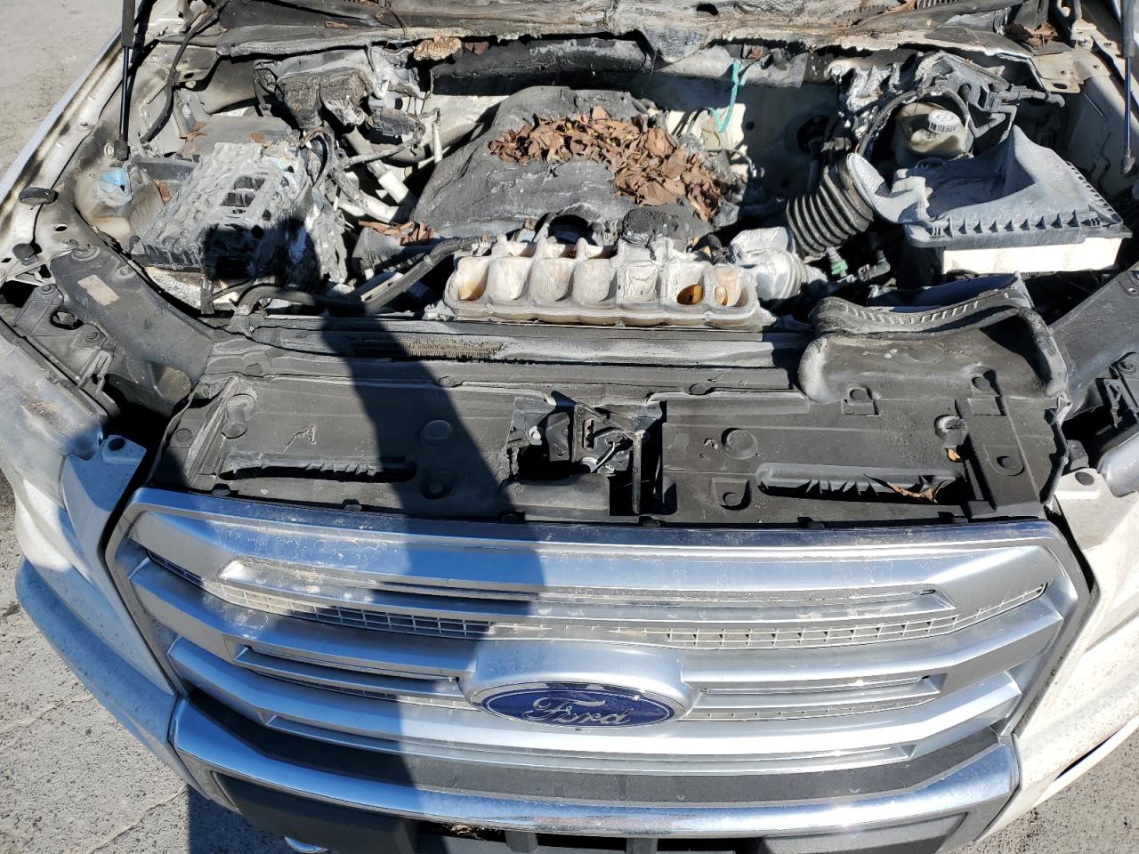 2015 Ford F-150 - Image 11