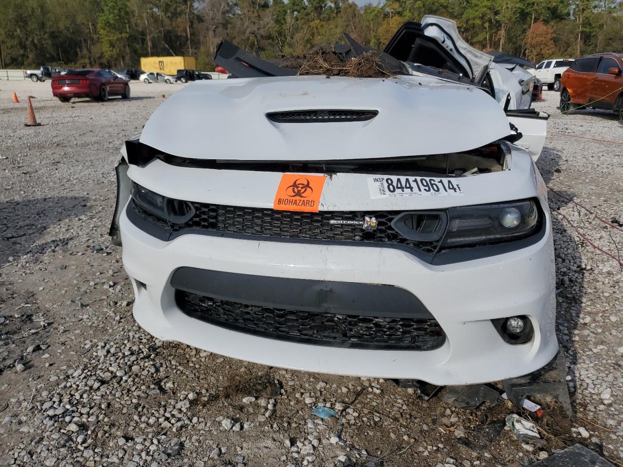 2019 Dodge Charger - Image 5