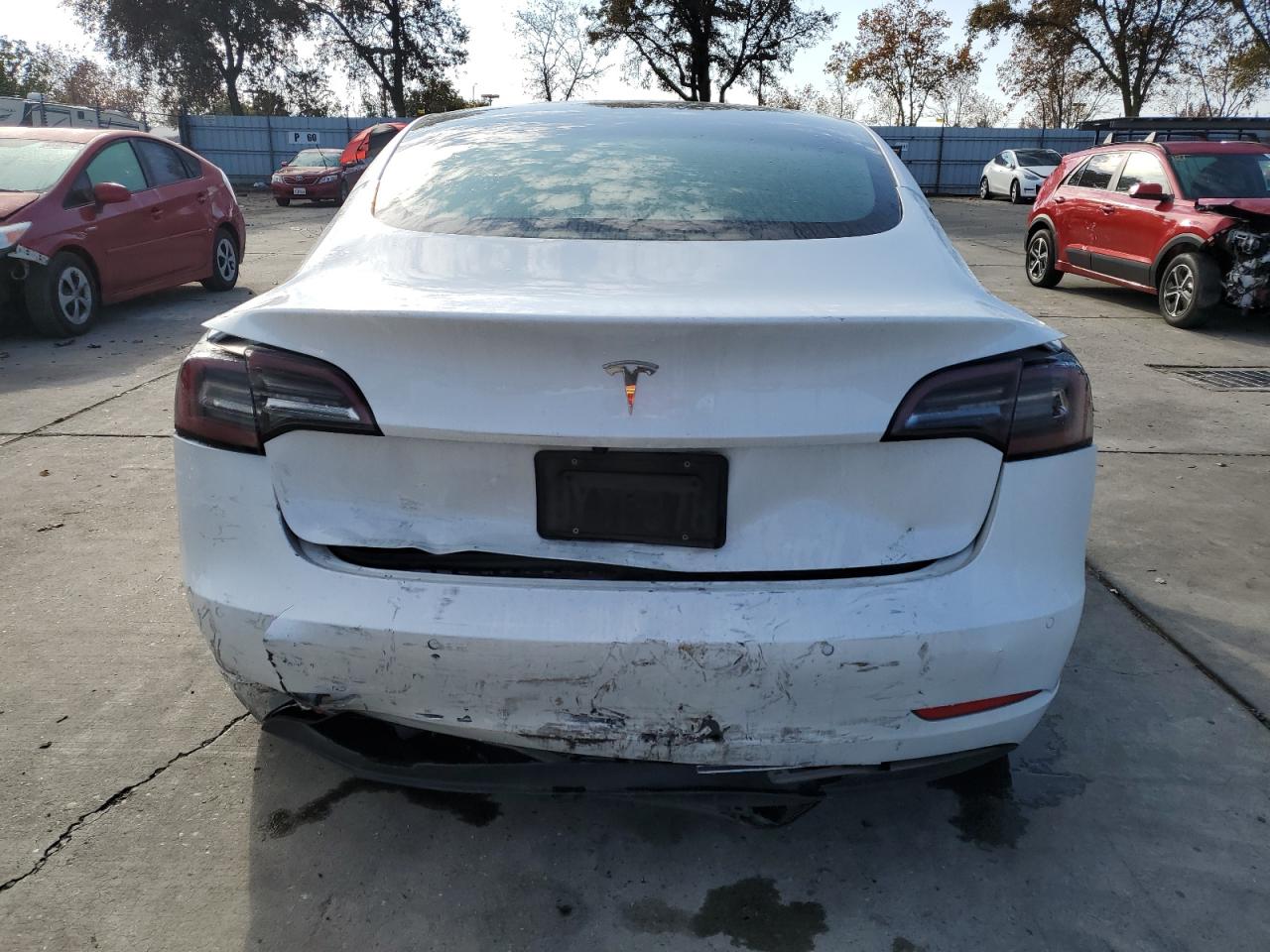 2021 Tesla Model 3 VIN: 5YJ3E1EA9MF073557 Lot: 81954854