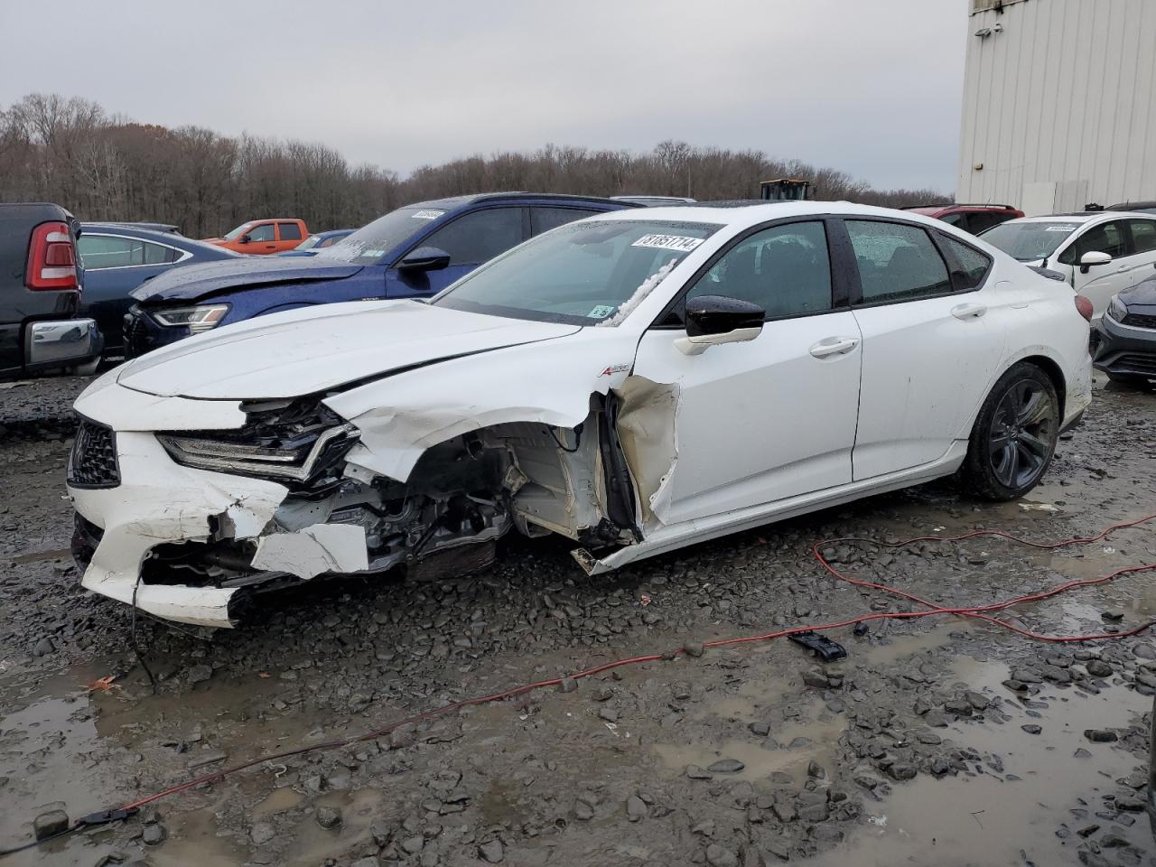 VIN 19UUB5F53PA001337 2023 ACURA TLX no.1