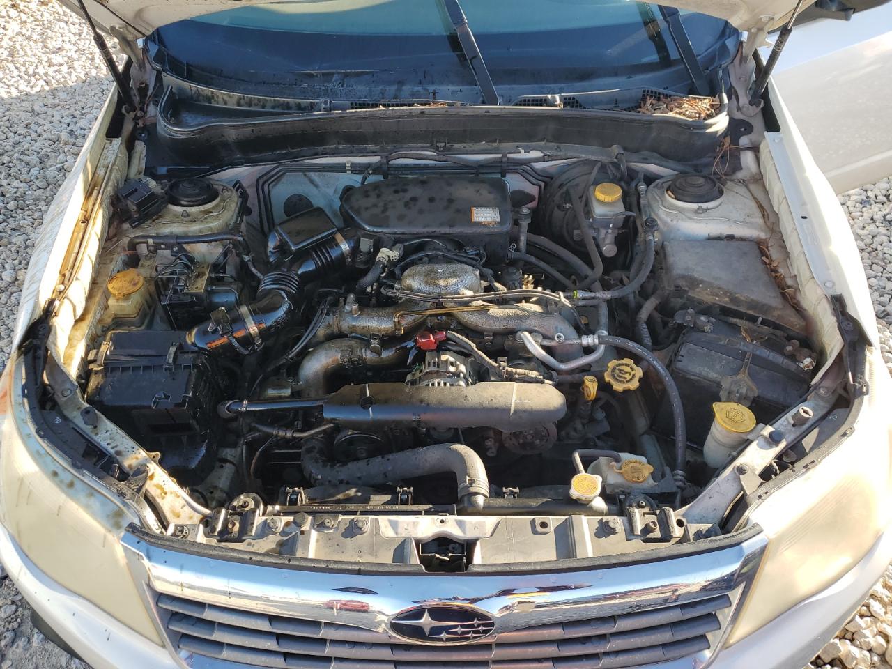 2010 Subaru Forester - Image 11