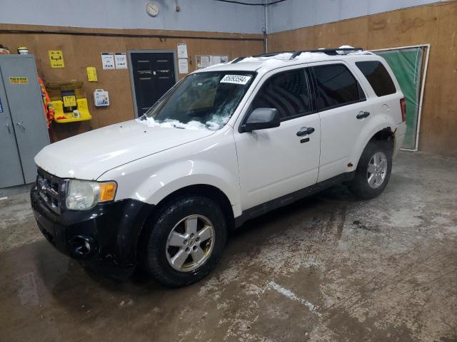 2010 Ford Escape Xlt zu verkaufen in Kincheloe, MI - Front End