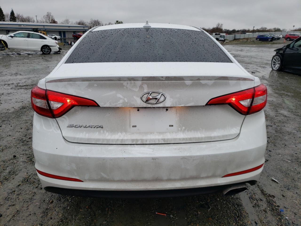 VIN 5NPE24AF7GH301453 2016 HYUNDAI SONATA no.6