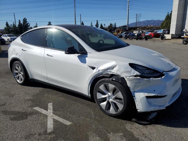  TESLA MODEL Y 2021 White