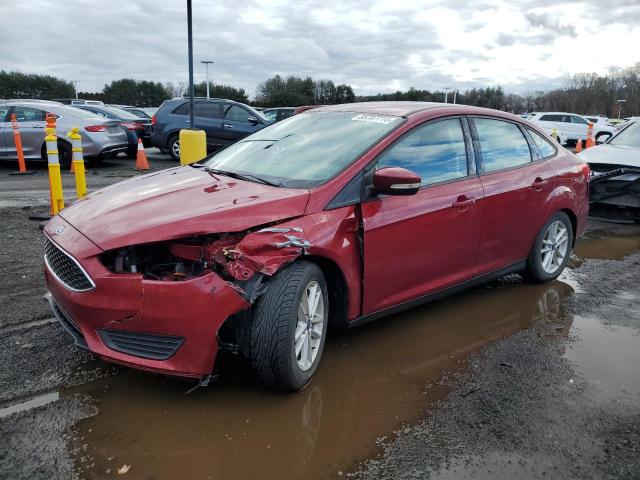  FORD FOCUS 2017 Czerwony