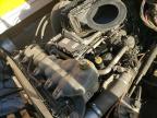 2019 Freightliner Cascadia 126  for Sale in Albuquerque, NM - All Over