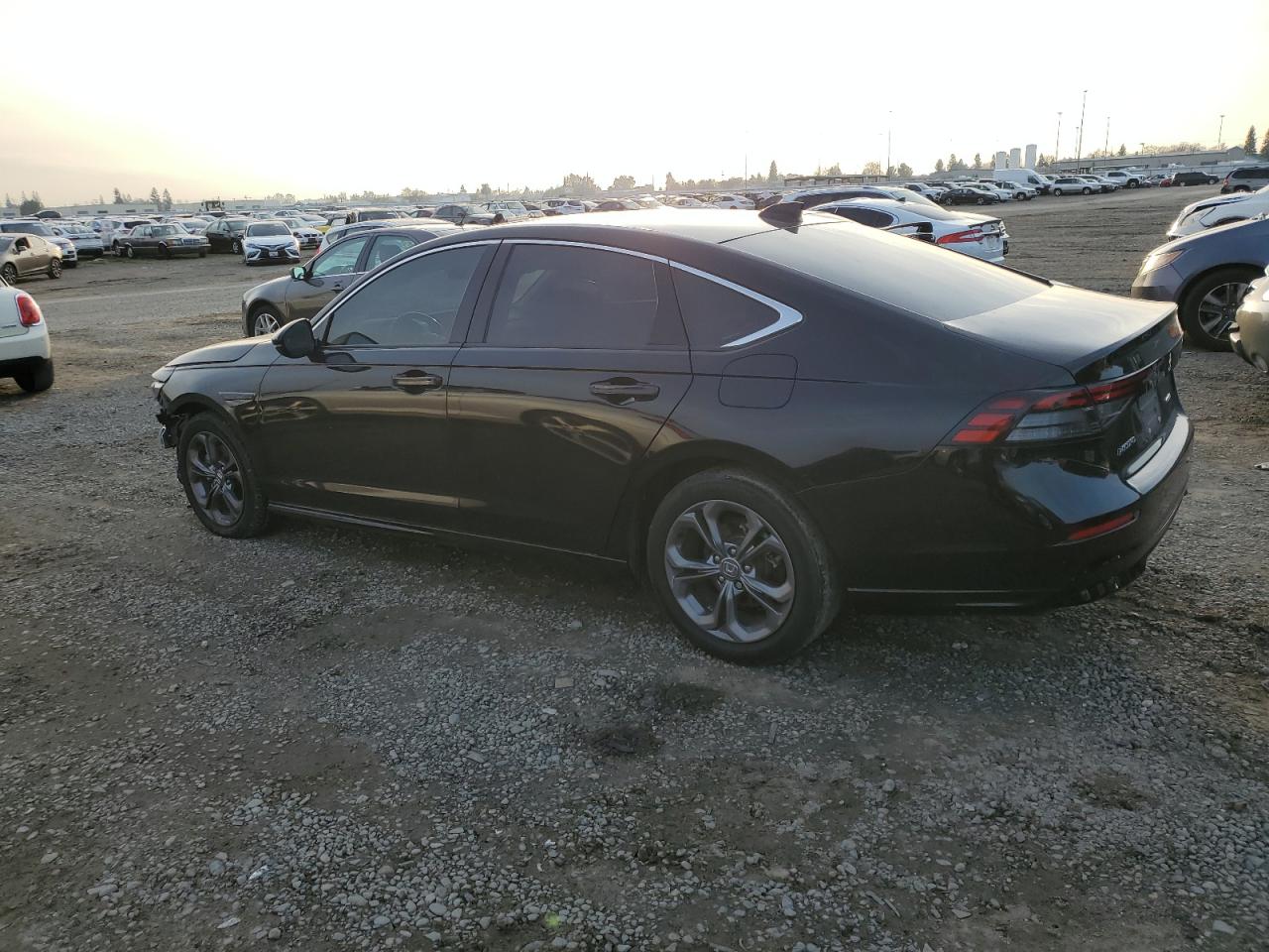 2024 Honda Accord - Image 2