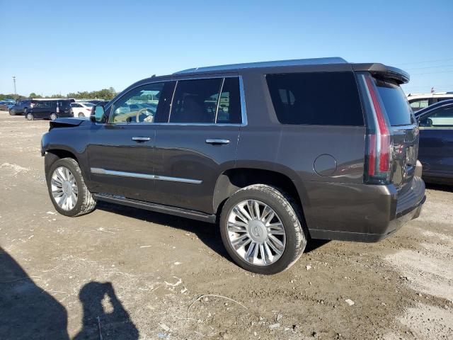  CADILLAC ESCALADE 2020 Серый