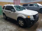 2010 Ford Escape Xlt за продажба в Kincheloe, MI - Front End