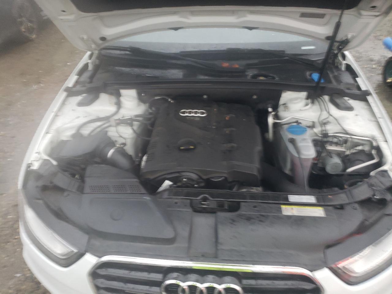 2016 Audi A4 Premium Plus S-Line VIN: WAUFFAFL5GN00910 Lot: 82896684