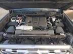 2025 Toyota Tundra Crewmax Platinum продається в Dunn, NC - All Over