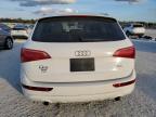 2011 Audi Q5 Premium Plus იყიდება Arcadia-ში, FL - Normal Wear