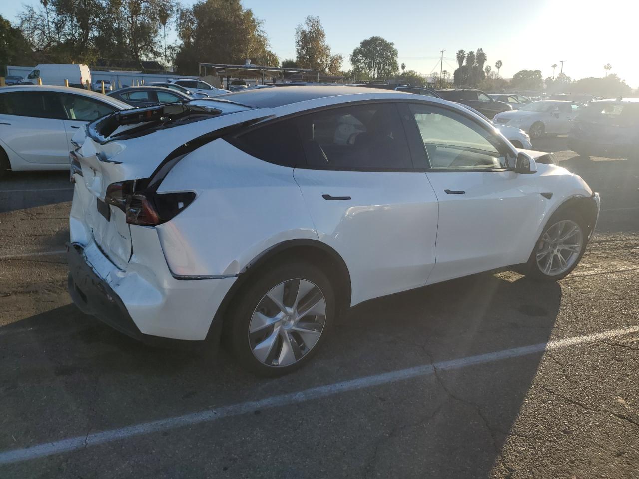 VIN 7SAYGDEE5PA069501 2023 TESLA MODEL Y no.3