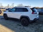 2019 Jeep Cherokee Trailhawk продається в Windsor, NJ - Front End