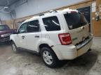 2010 Ford Escape Xlt за продажба в Kincheloe, MI - Front End