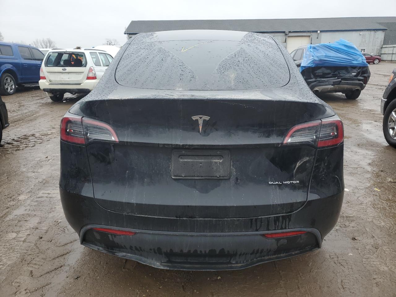 2023 Tesla Model Y VIN: 7SAYGDEE8PA189650 Lot: 85205674