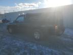 2002 Toyota Tacoma  for Sale in Albany, NY - Normal Wear