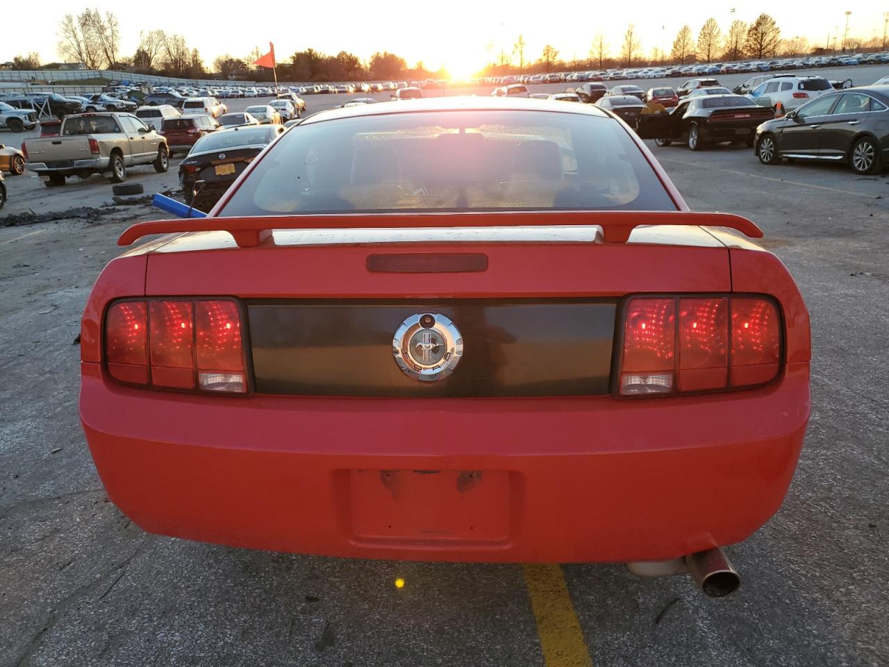 2006 Ford Mustang VIN: 1ZVFT80N365263006 Lot: 84278954