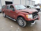 2014 Ford F150 Supercrew zu verkaufen in Apopka, FL - Front End