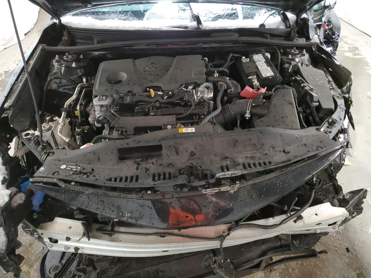 VIN 4T1C11AK7RU901271 2024 TOYOTA CAMRY no.11