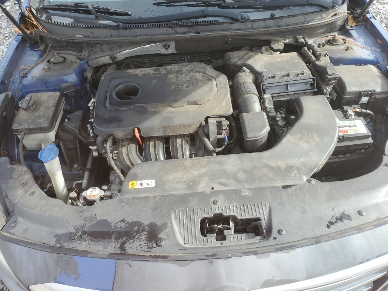 2016 Hyundai Sonata Se VIN: 5NPE24AF5GH351641 Lot: 84848674