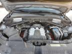 2016 Audi Q5 Premium Plus S-Line იყიდება Oklahoma City-ში, OK - Rear End