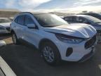 2023 Ford Escape Active for Sale in Brighton, CO - Front End