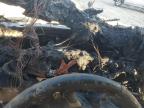 2021 Chrysler Pacifica Touring L na sprzedaż w Midway, FL - Burn