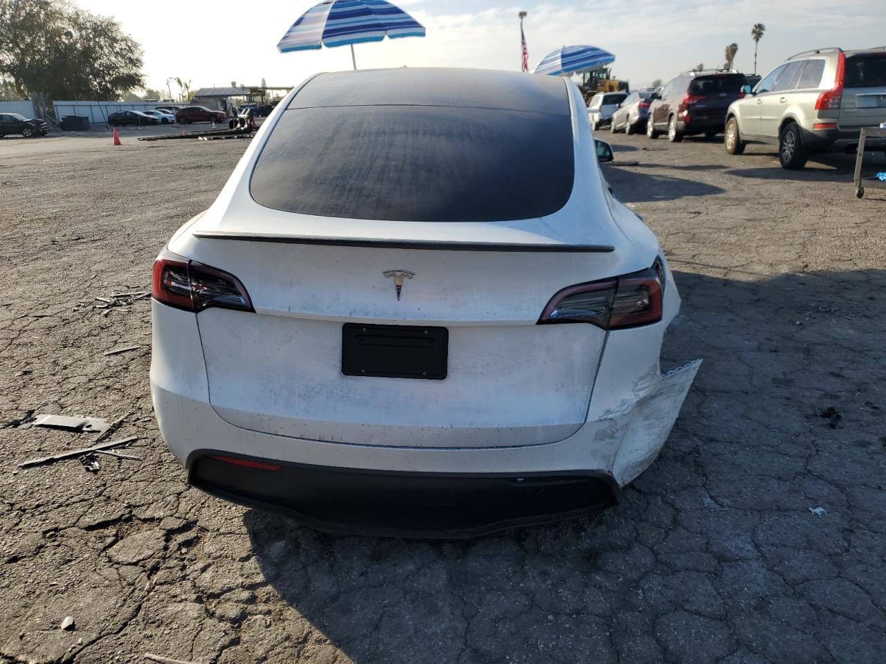 2023 Tesla Model Y VIN: 7SAYGDEE7PA091452 Lot: 85995374