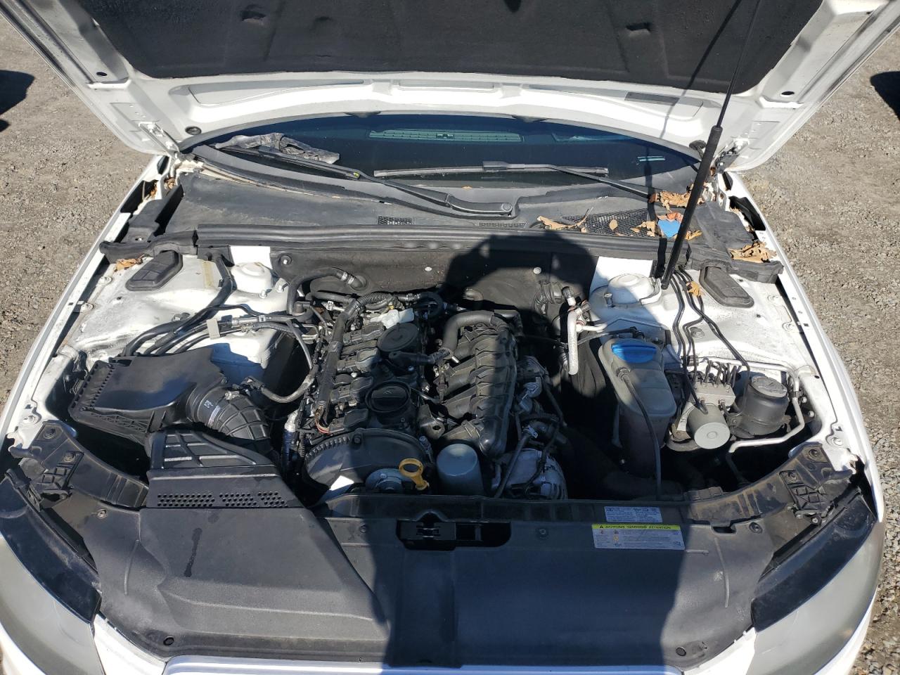 2011 Audi A4 Premium VIN: WAUAFAFL8BN039772 Lot: 87051994