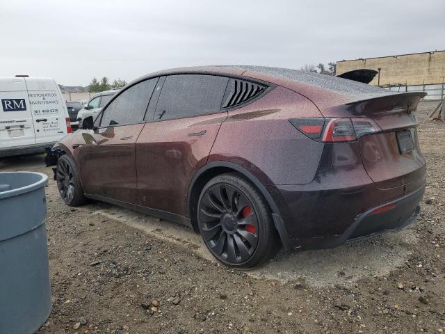  TESLA MODEL Y 2023 Фіолетовий