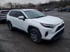 2024 Toyota Rav4 Xle за продажба в Marlboro, NY - Water/Flood