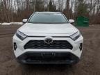 2024 TOYOTA RAV4 XLE for sale at Copart ON - COOKSTOWN