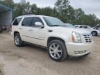 2008 Cadillac Escalade Luxury იყიდება Midway-ში, FL - Side