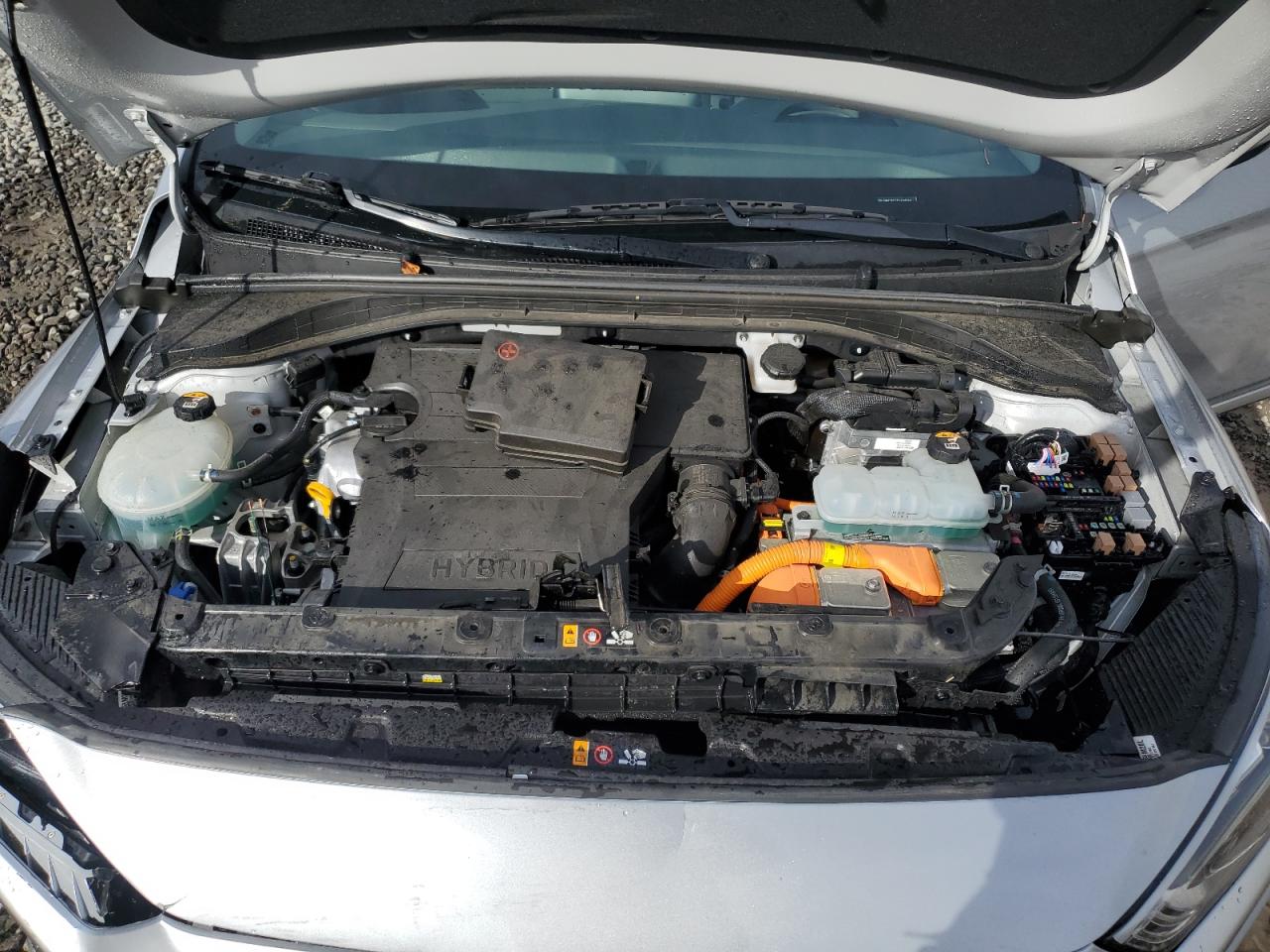 2020 Hyundai IONIQ - Image 12