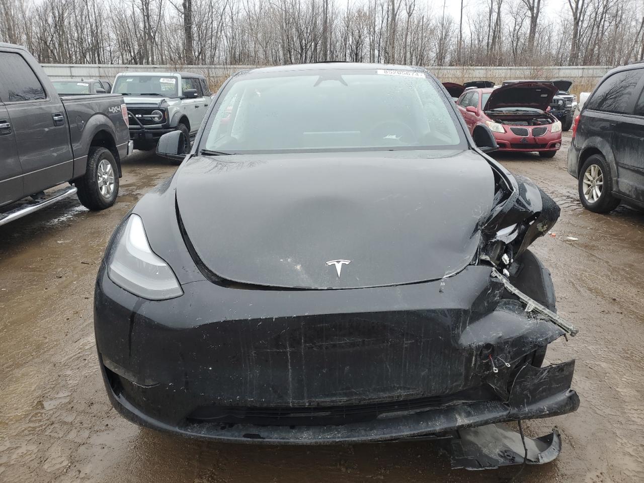 2023 Tesla Model Y VIN: 7SAYGDEE8PA189650 Lot: 85205674