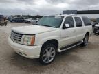 2003 Cadillac Escalade Esv de vânzare în West Palm Beach, FL - Side