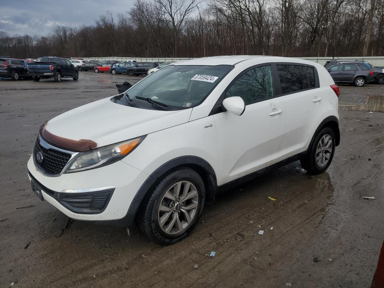 2014 Kia Sportage Lx VIN: KNDPBCAC2E7581390 Lot: 87059424