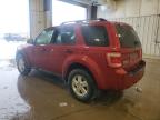 2010 Ford Escape Xlt de vânzare în Franklin, WI - Front End