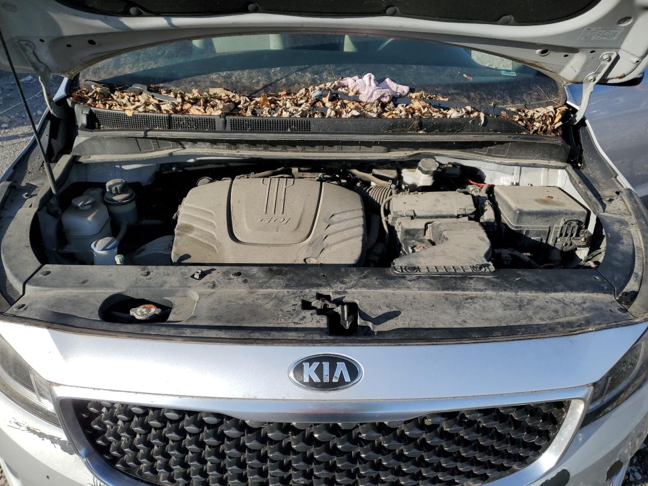 VIN KNDMB5C13G6192566 2016 KIA All Models no.12