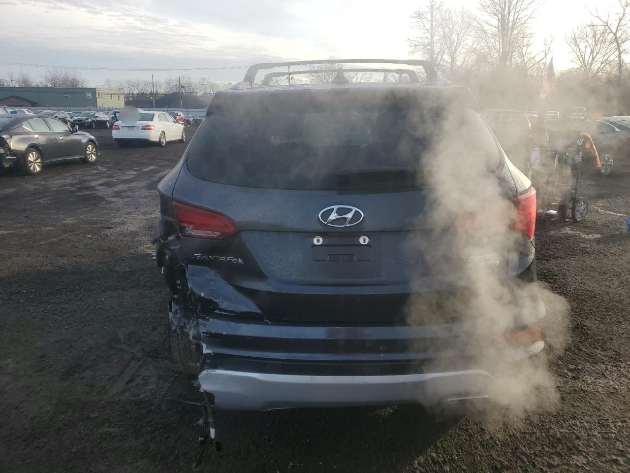 VIN 5XYZUDLB0HG481762 2017 HYUNDAI SANTA FE no.6