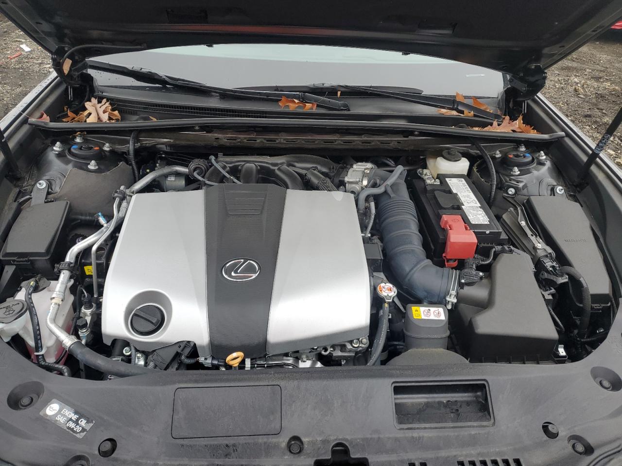 2024 Lexus ES - Image 11
