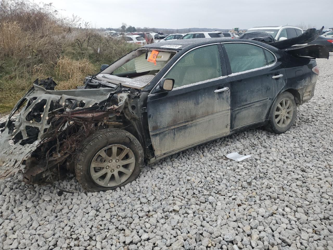 2004 Lexus ES - Image 1
