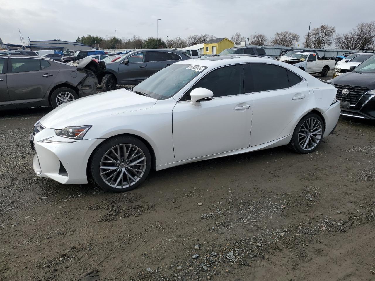 2019 LEXUS IS