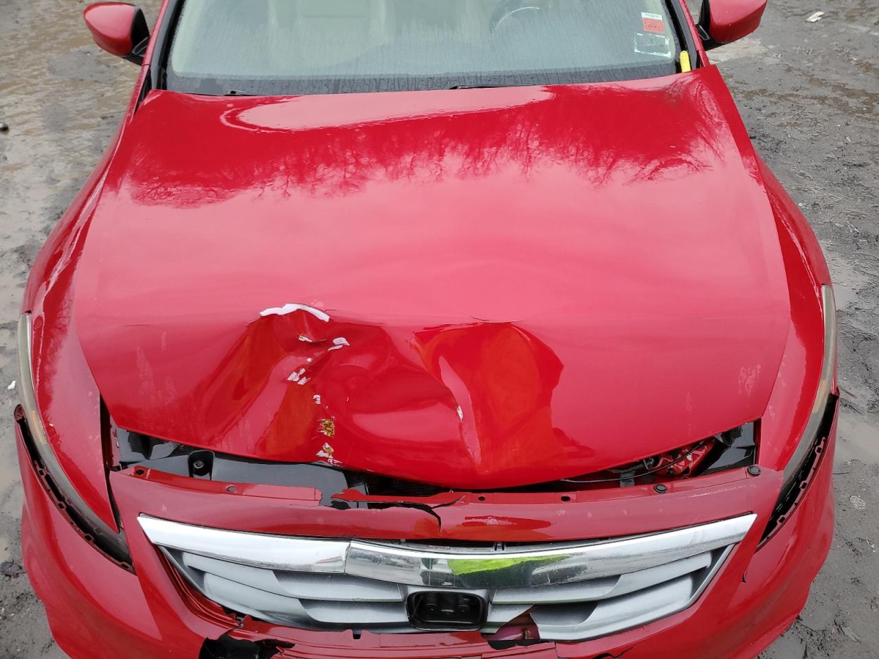 2011 Honda Accord Exl VIN: 1HGCS1B82BA014996 Lot: 83834214