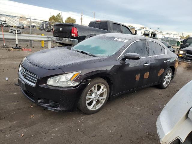  NISSAN MAXIMA 2014 Purple